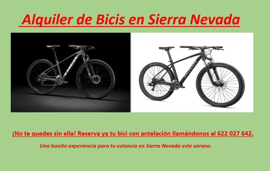 Todosierranevada Zona Baja - Edificio Alhambra - Junto A Los Telecabinas Sierra Nevada Dış mekan fotoğraf